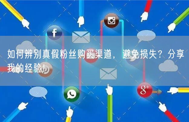 如何辨别真假粉丝购买渠道,避免损失?分享我的经验!