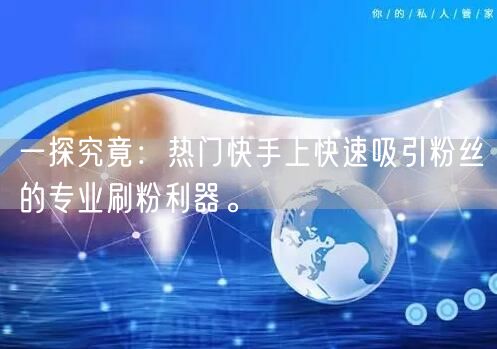 一探究竟:热门快手上快速吸引粉丝的专业刷粉利器。