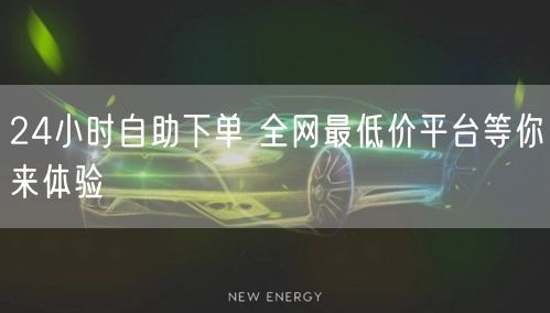 24小时自助下单 全网最低价平台等你来体验