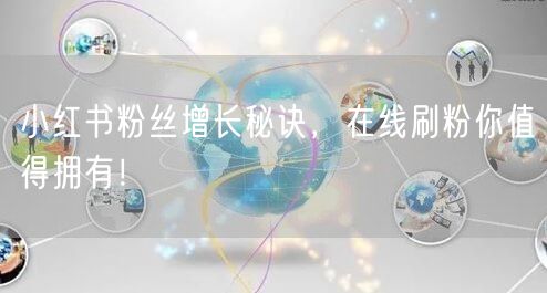 小红书粉丝增长秘诀,在线刷粉你值得拥有!