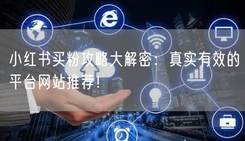 小红书买粉攻略大解密:真实有效的平台网站推荐!