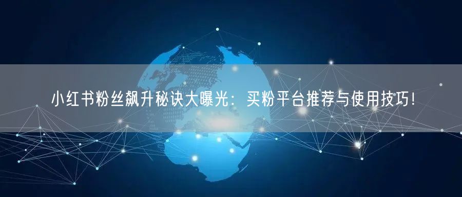 小红书粉丝飙升秘诀大曝光:买粉平台推荐与使用技巧!