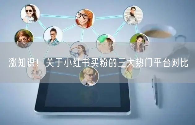 涨知识!关于小红书买粉的三大热门平台对比