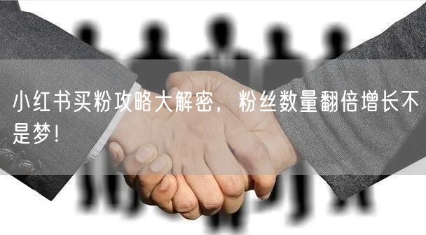 小红书买粉攻略大解密,粉丝数量翻倍增长不是梦!