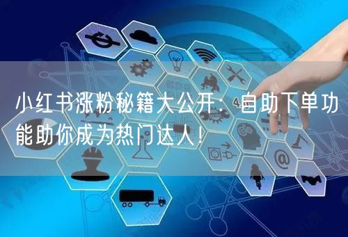 小红书涨粉秘籍大公开：自助下单功能助你成为热门达人！