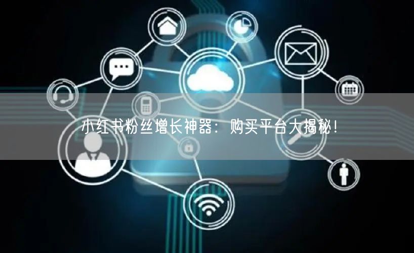 小红书粉丝增长神器:购买平台大揭秘!
