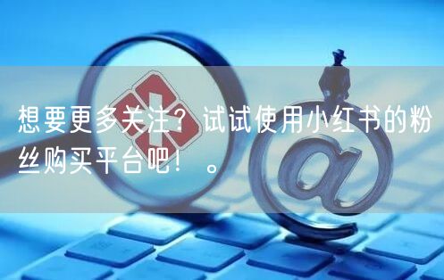 想要更多关注？试试使用小红书的粉丝购买平台吧！。