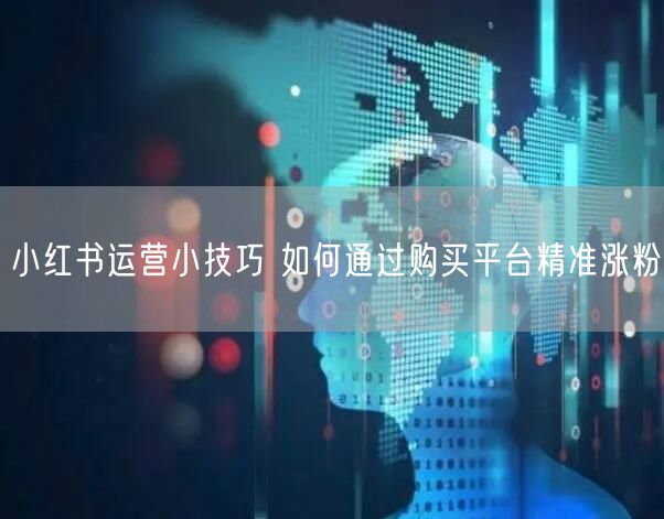 小红书运营小技巧 如何通过购买平台精准涨粉