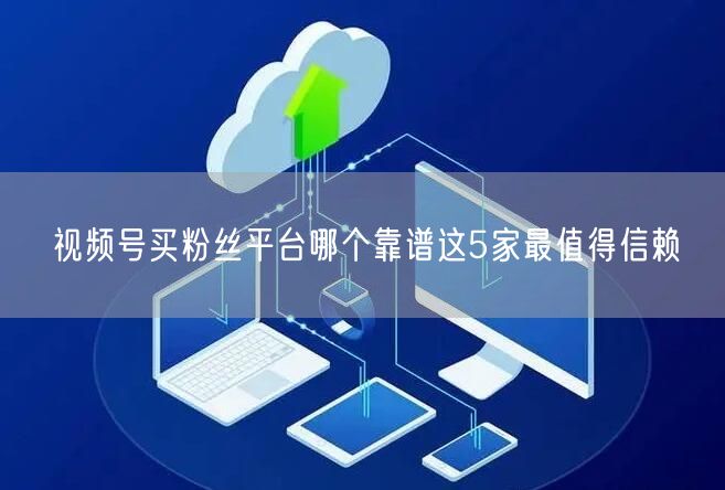 视频号买粉丝平台哪个靠谱这5家最值得信赖